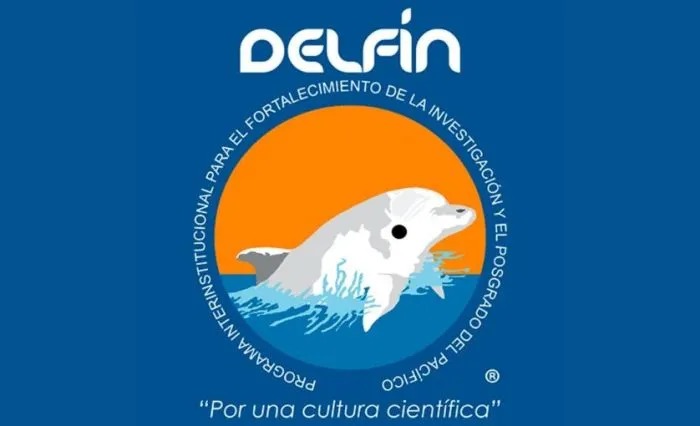 Reporte de Investigación - Verano Delfín